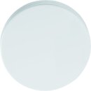 TST-100-SW Deckauslass,DN100,Stahl,RAL9003