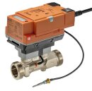 Belimo 22PEM-1UD Thermischer Energiezähler